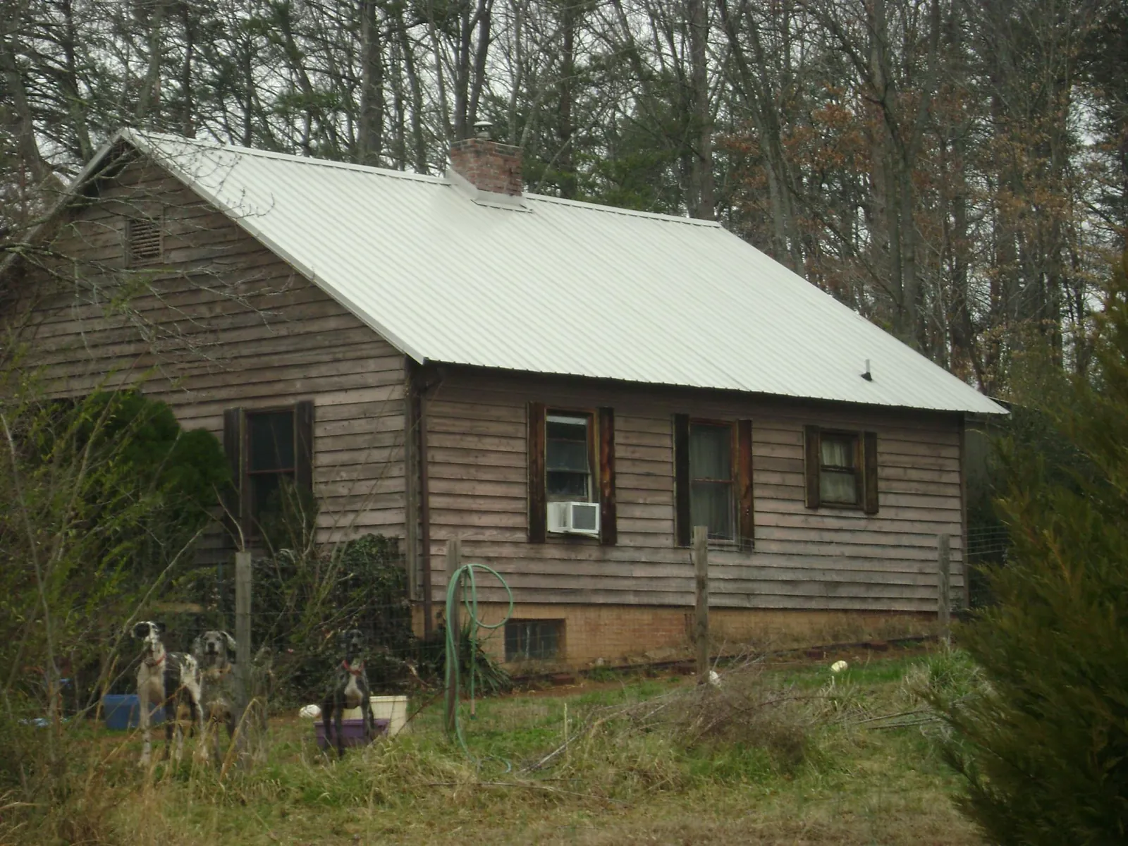 White metal roof on an old wood sided farmhouse, from a Metal Roof Installation job in Aumsville